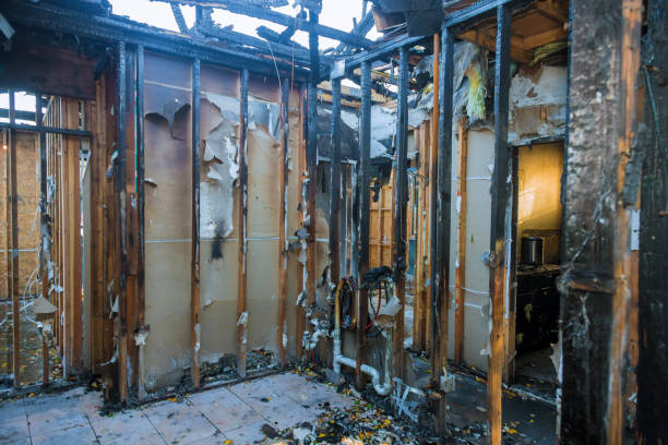 Professional Odor Removal technician working in Morton, TX