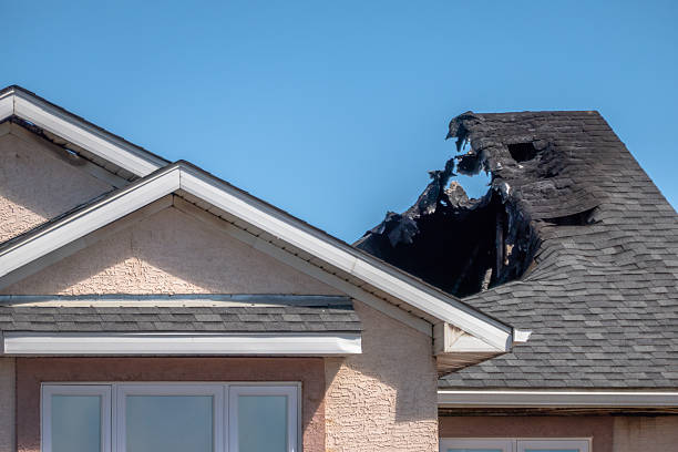 Top rated local Odor Removal specialists in Morton, TX